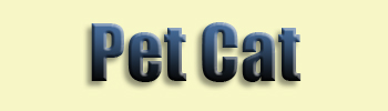 Pet Cat