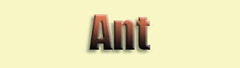 Ant