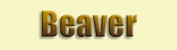 Beaver