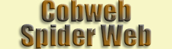 Web, Cobweb