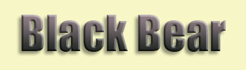 Black Bear