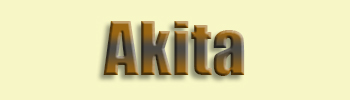 Akita