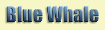 Blue Whale