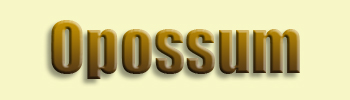 Opossum
