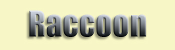 Raccoon
