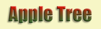 Apple Tree