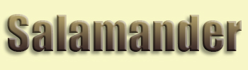 Salamander