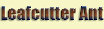 Leafcutter Ant