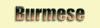 Burmese Cat