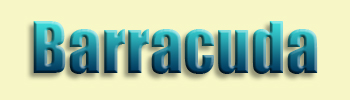 Barracuda
