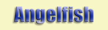 Angelfish