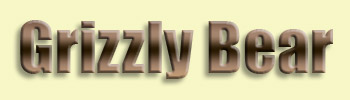 Grizzly Bear <br>A Brown Bear