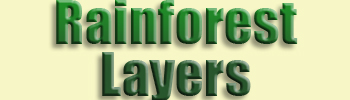 *Rainforest Layers*