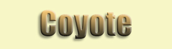 Coyote
