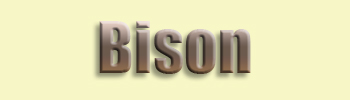 Bison <br>Buffalo
