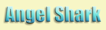 Angel Shark