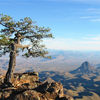 Big Bend <br>National Park