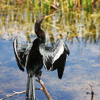 Everglades <br>National Park