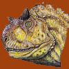 Carnotaurus