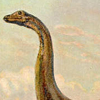 Diplodocus