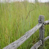Prairie