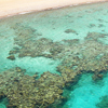 Reef