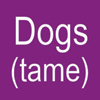 DOGS (Tame)