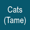 CATS (Tame)