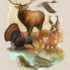 Lewis and Clark <br>List of Animals