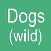 DOGS (Wild)