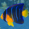 Virgin Islands <br>National Park