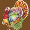 Thanksgiving