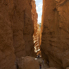 Canyon