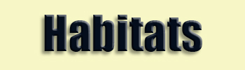 topic name text image