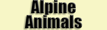 topic name text image