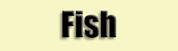 topic name text image