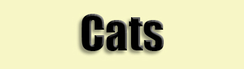 topic name text image