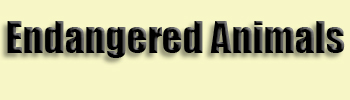 topic name text image