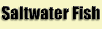 topic name text image