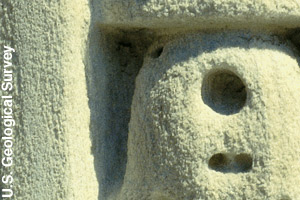 Acid rain harms buildings.