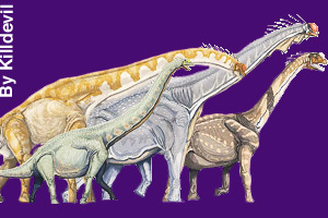 Different dinosaurs
