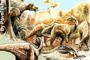 Different dinosaurs