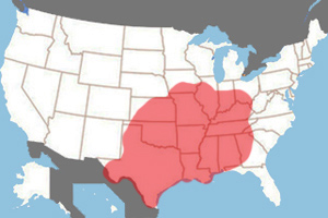 Range (in red) of the brown recluse spider