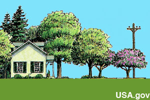 Trees provide shade and protection