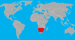 Range (in red) of the black-footed cat