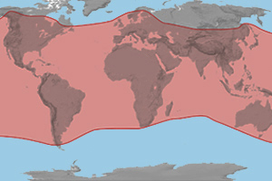 The range (in red) of ants