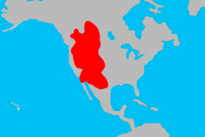 Range (in red) of the bighorn sheep