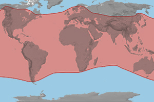 The range (in red) of the butterfly