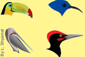 All birds have beaks
