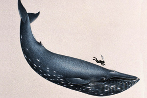 A blue whale, largest mammal